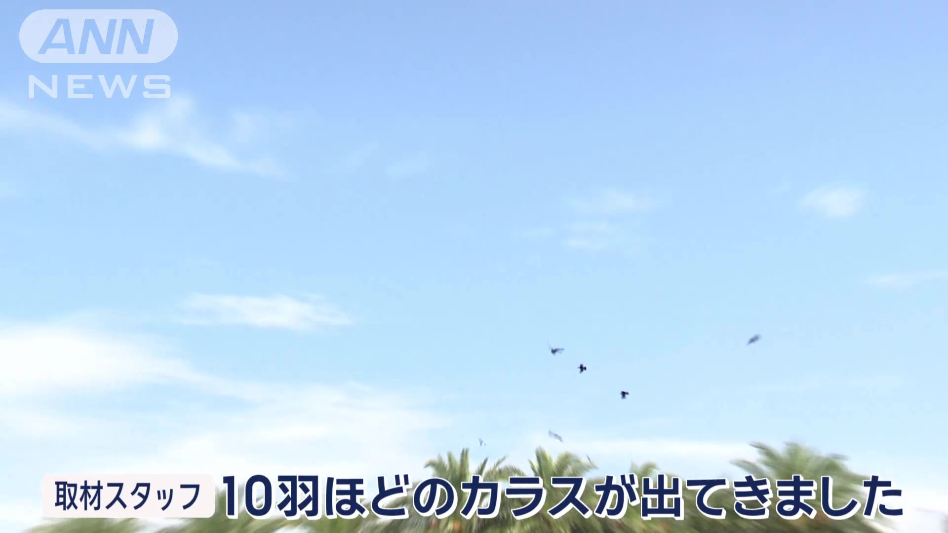 田中さんを「危険な人間」として覚えている