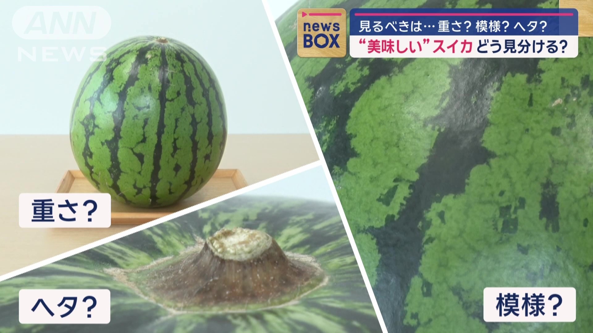 見るポイントはどれ？