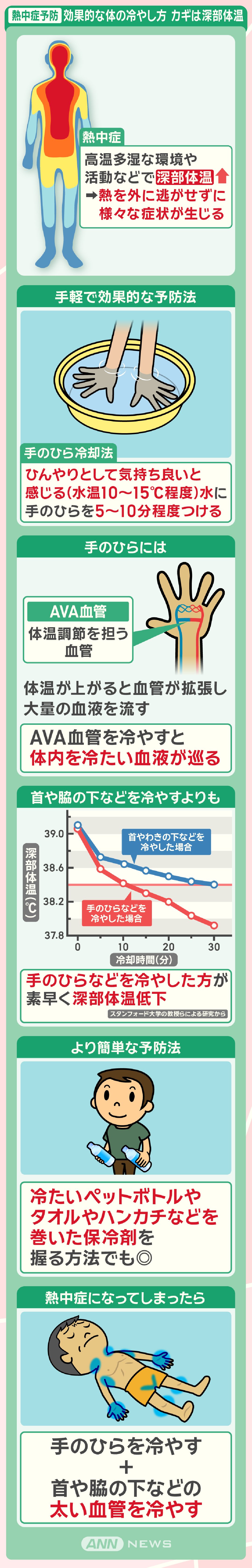 熱中症予防 効果的な体の冷やし方 カギは深部体温