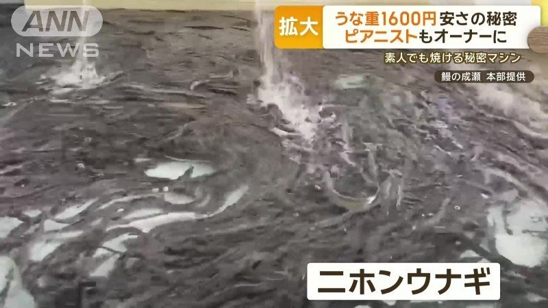 「ニホンウナギ」を使用