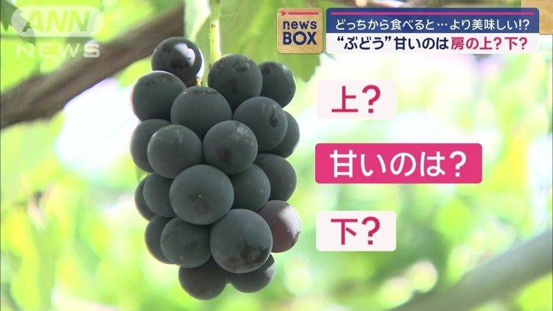 房の上の部分と下の部分で、甘さが違う
