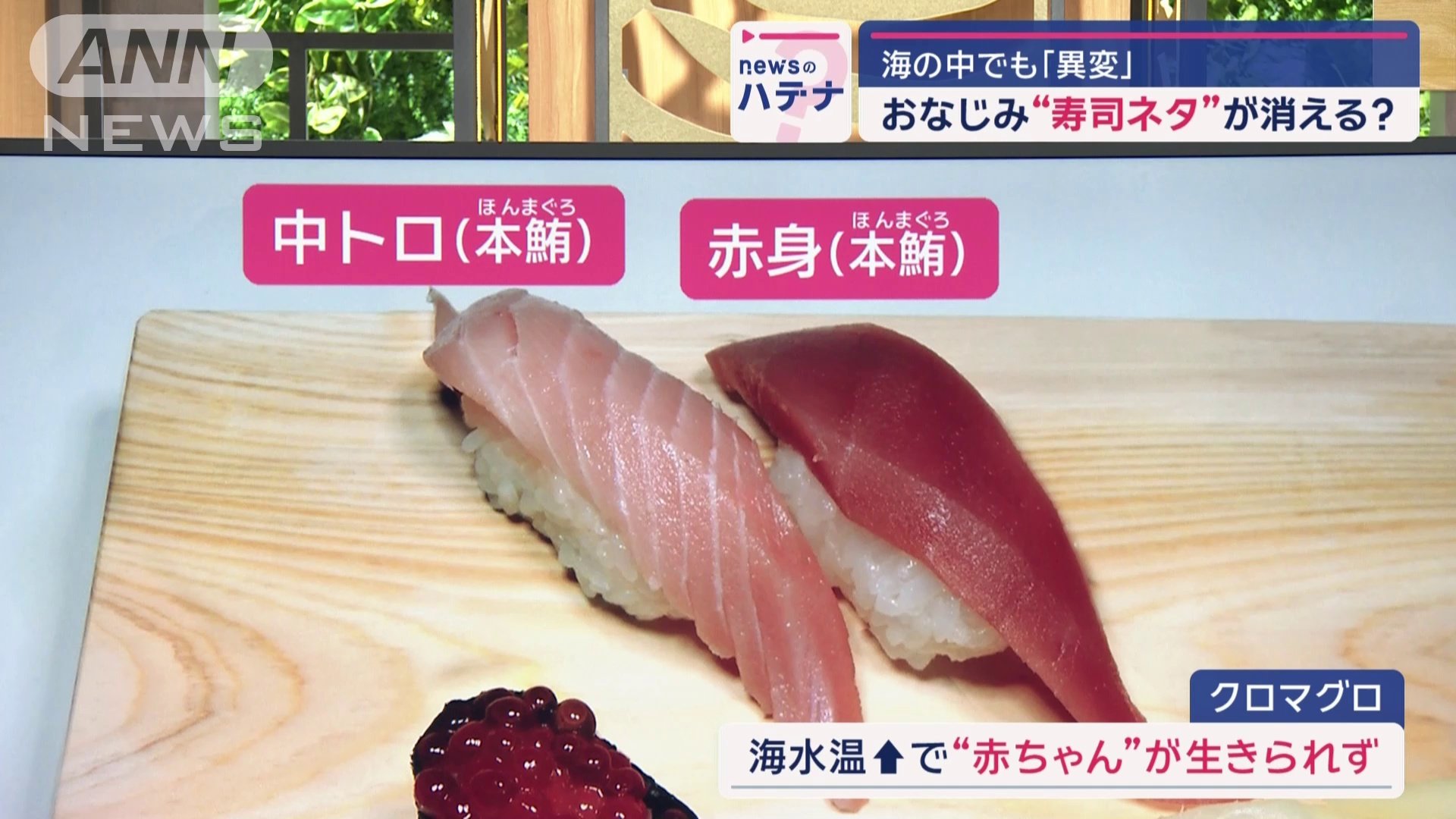 生まれたばかりの赤ちゃんが…