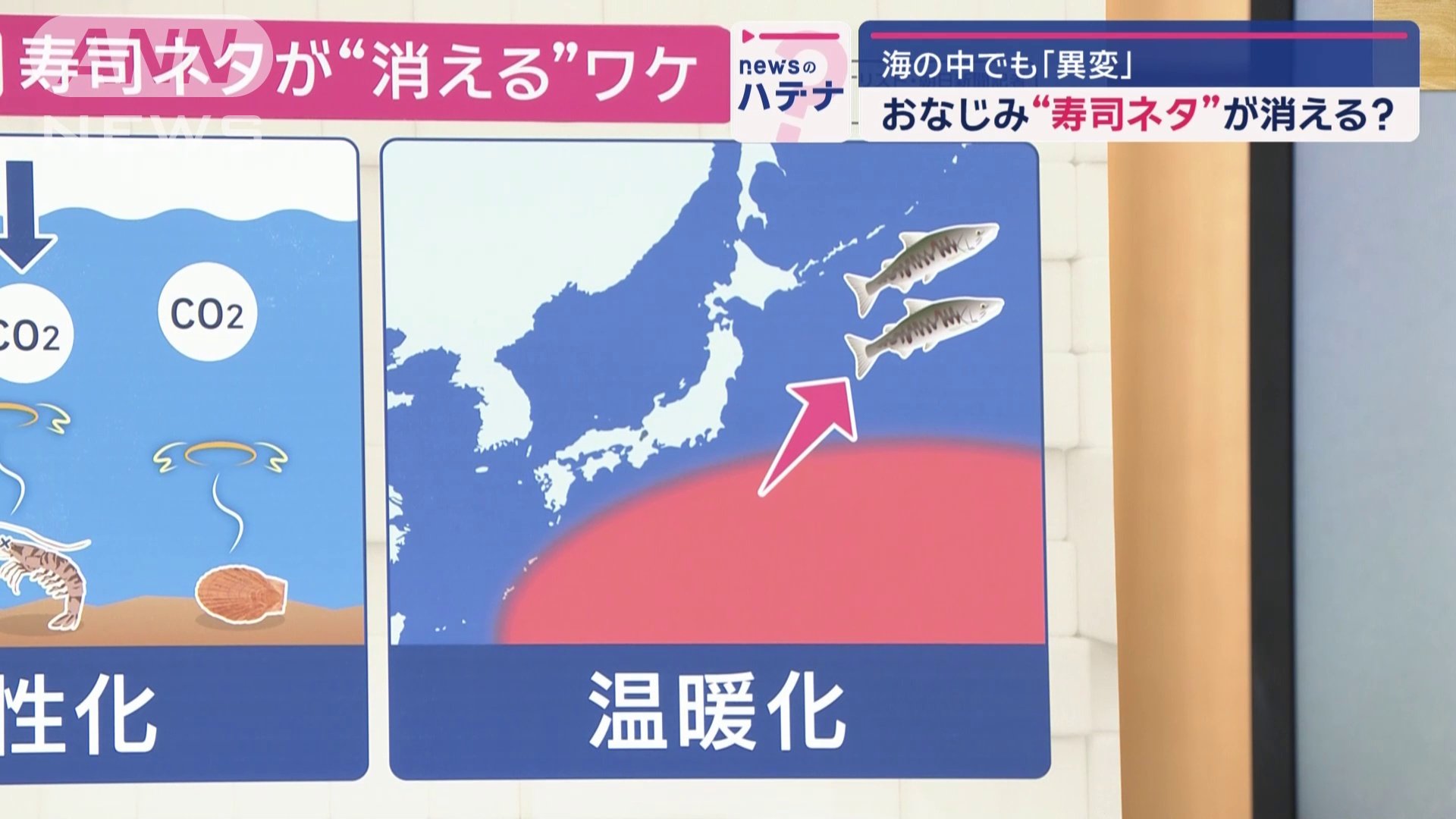 温暖化の影響