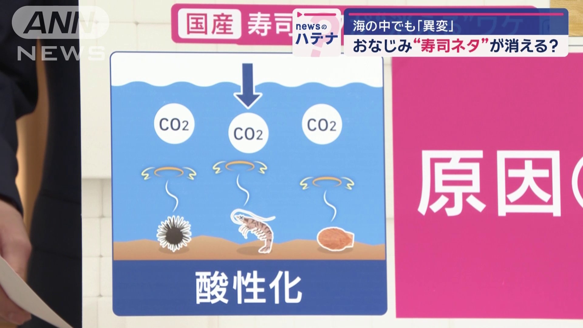 海の酸性化が原因