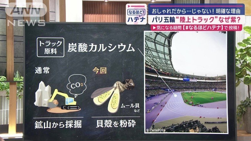 ムール貝などを使用