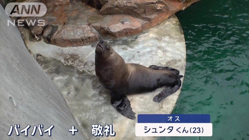 2つの指示を組み合わせると動きが止まってしまう