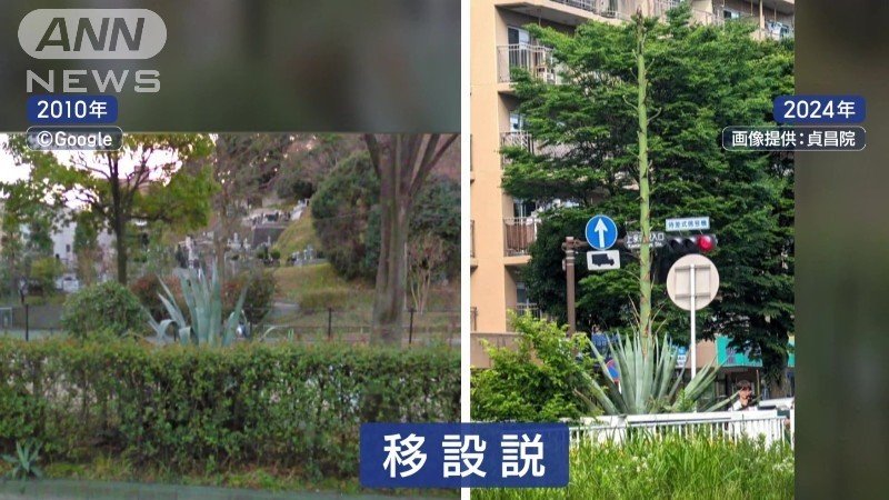 移設説