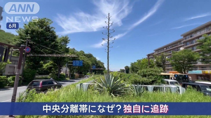 独自に追跡