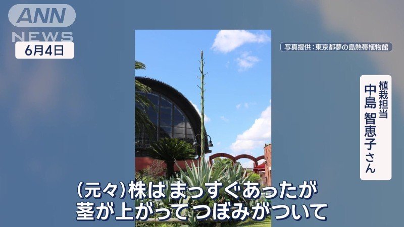 重みが増すにつれて傾いてきた