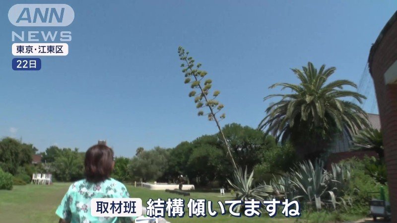 夢の島熱帯植物館