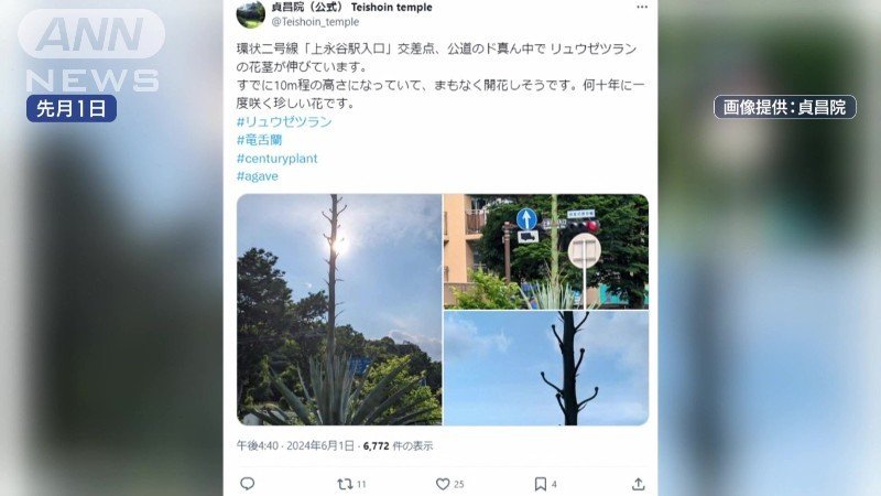 話題のきっかけとなったSNS投稿