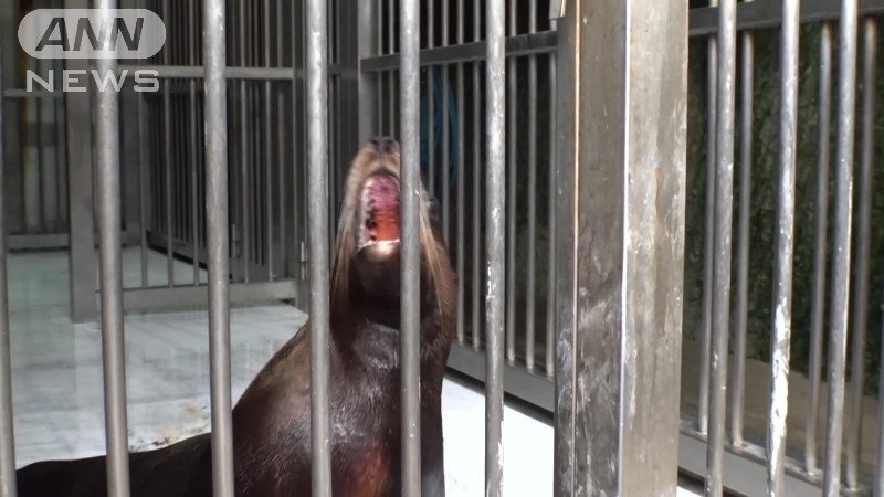 指示通り口を開けるカナタくん