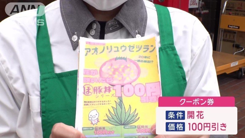 100円引きクーポン券