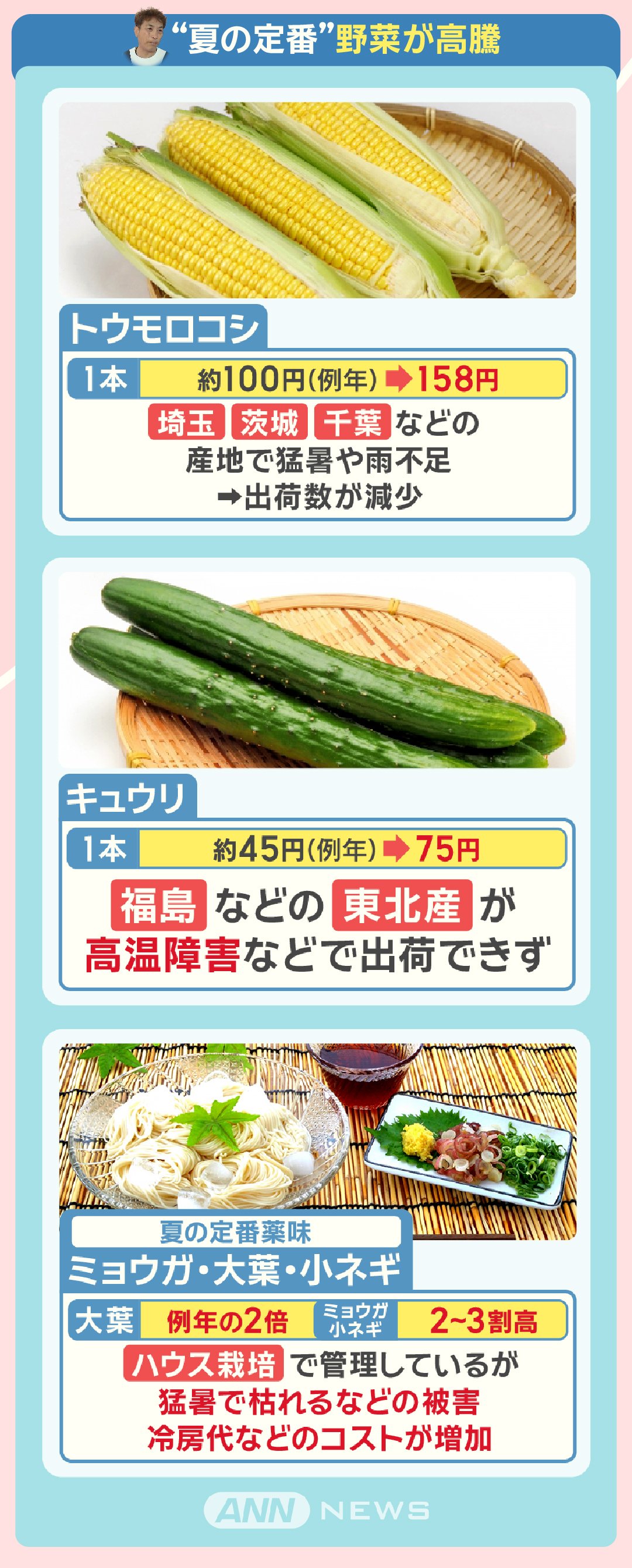 “夏の定番”野菜が高騰