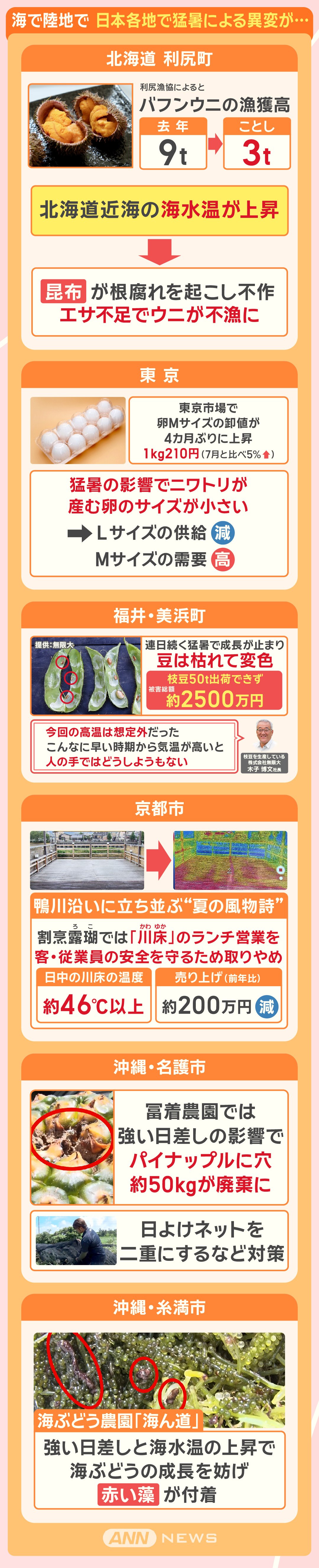 海で陸地で 日本各地で猛暑による異変が…