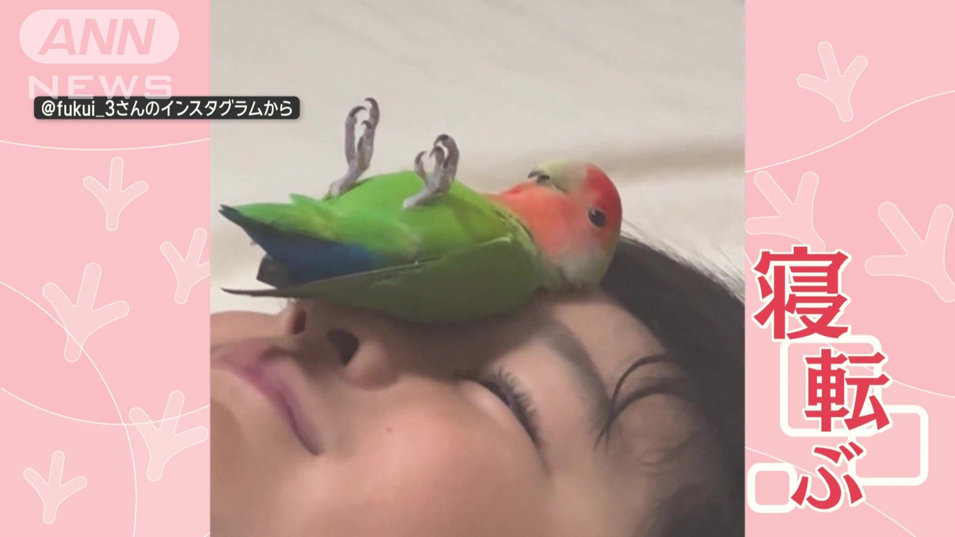 顔の上で寝転ぶ!