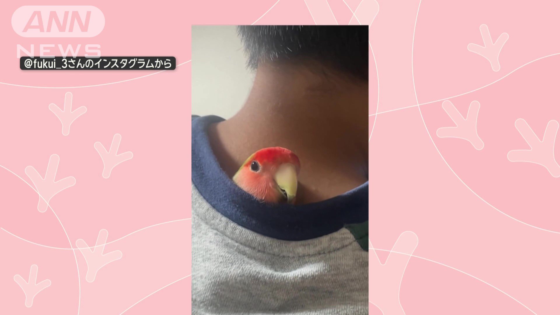 背中でくつろぐ