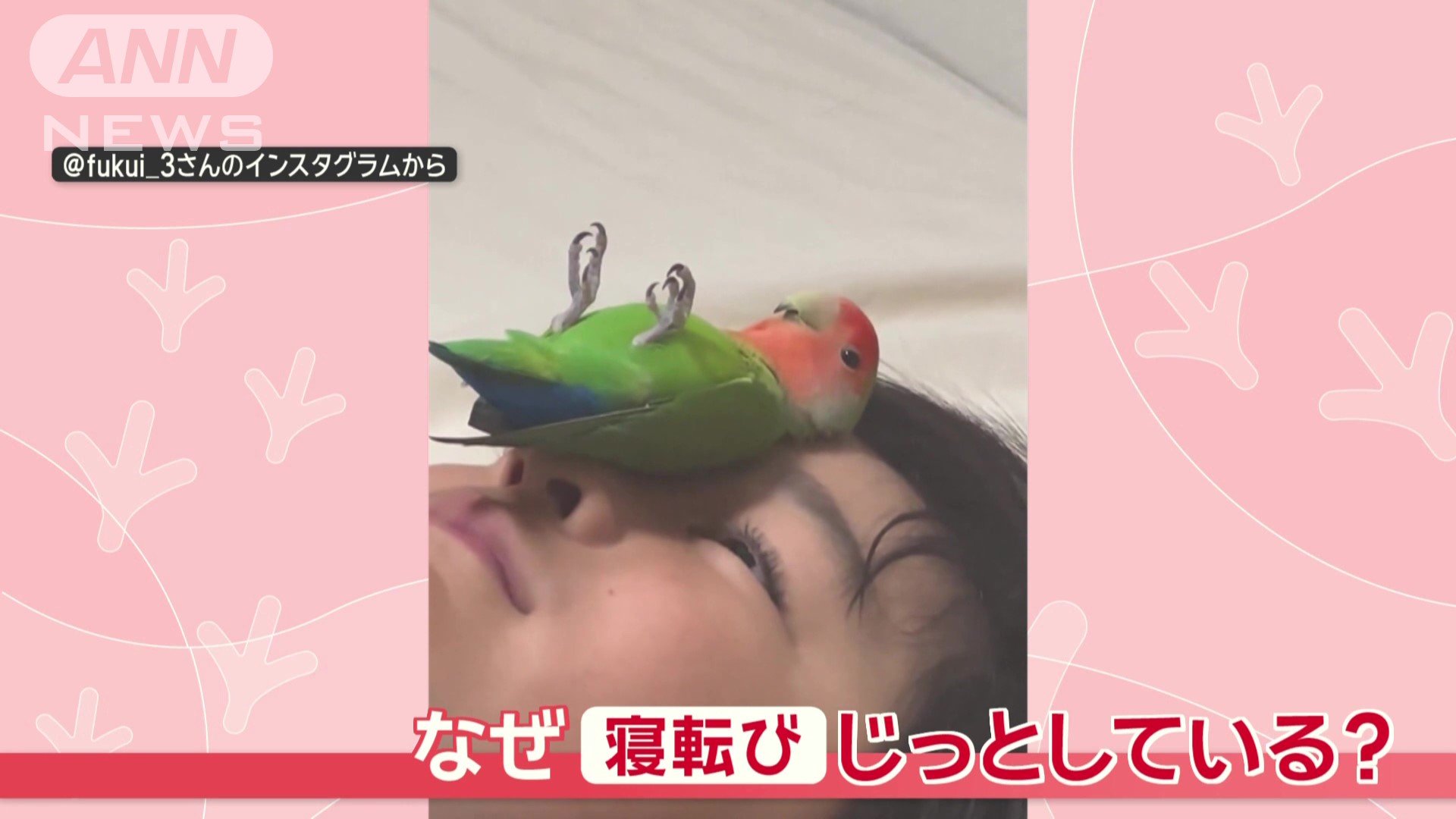 なぜじっとしている?