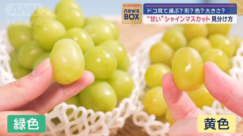 緑色、黄色どちら？