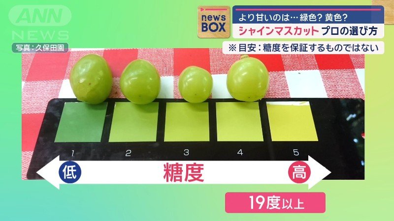 色によって甘さの目安が分かる