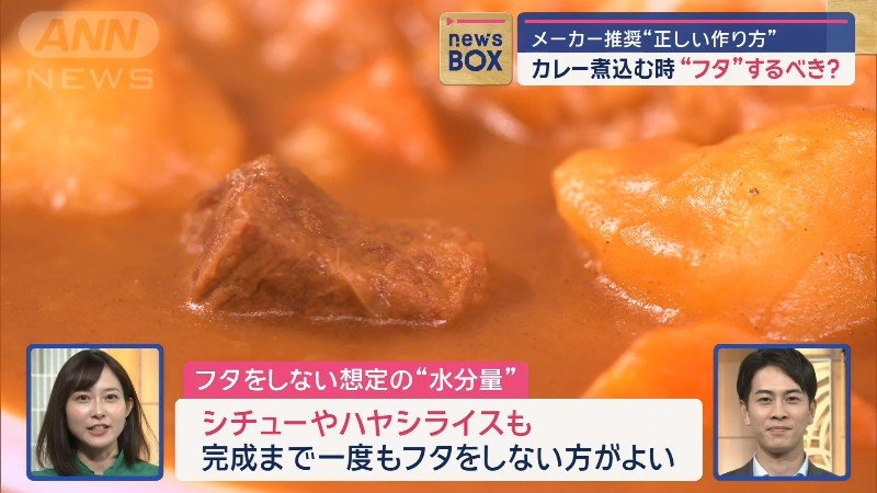 シチュー・ハヤシライスでも