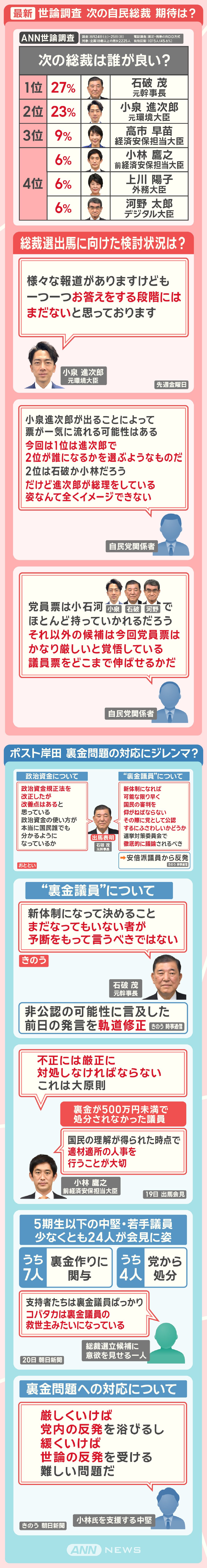 最新 世論調査 次の自民総裁 期待は？