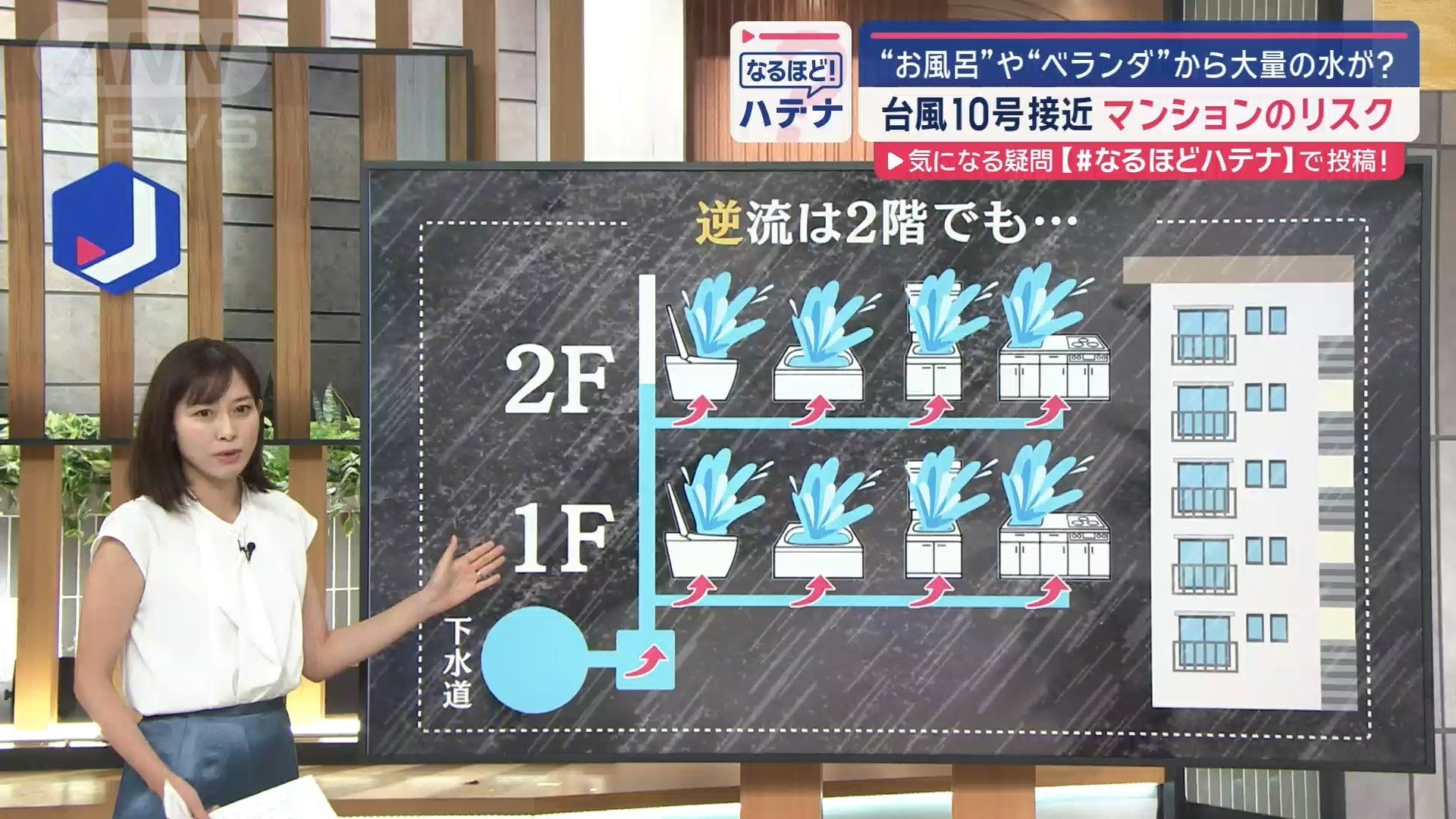 排水管から逆流