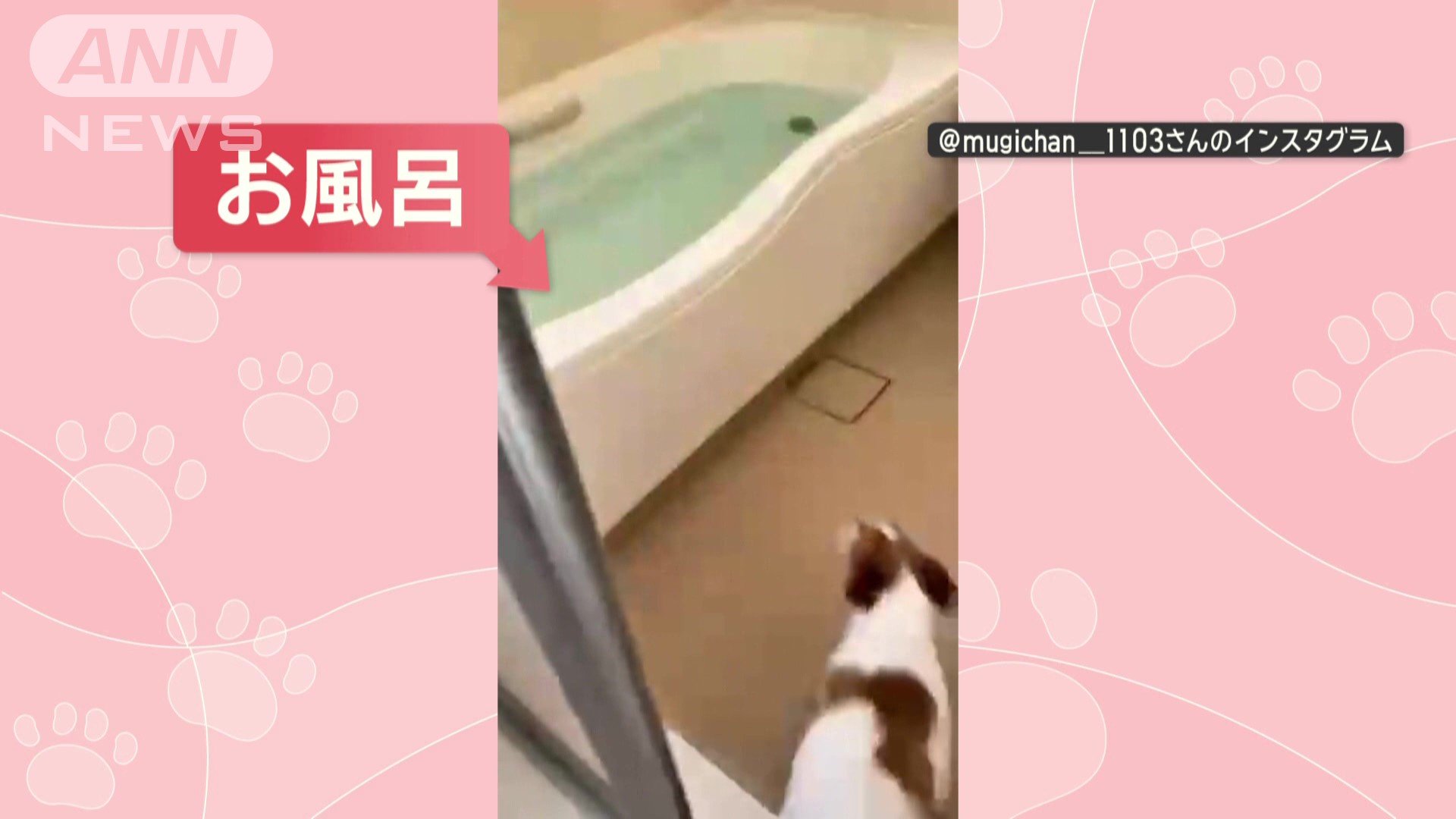 一目散に！お風呂へ