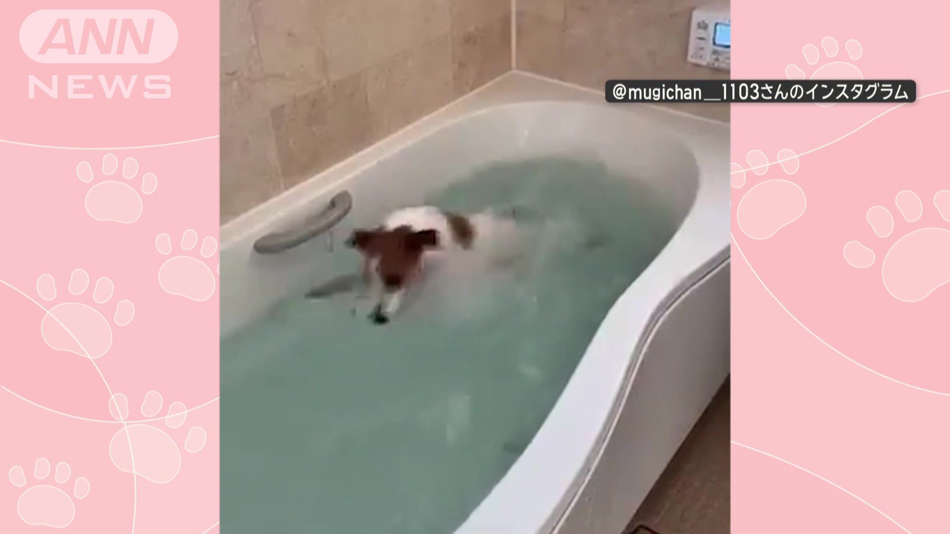 お風呂を楽しむ