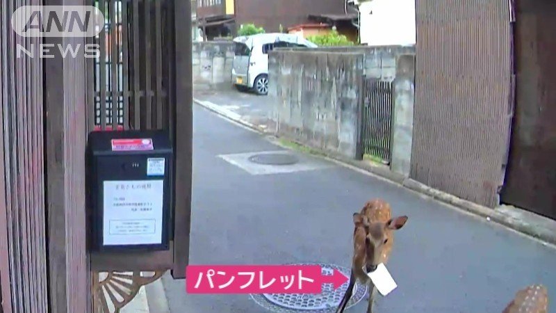 犯人は「シカ」