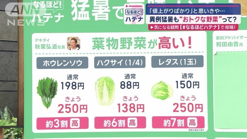 葉物野菜の価格が…