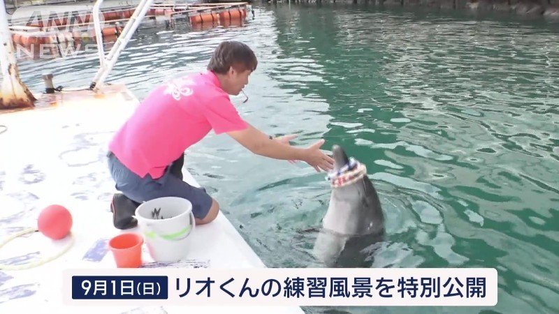 練習風景を特別公開