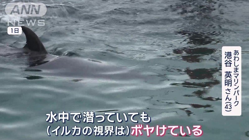 台風の影響で