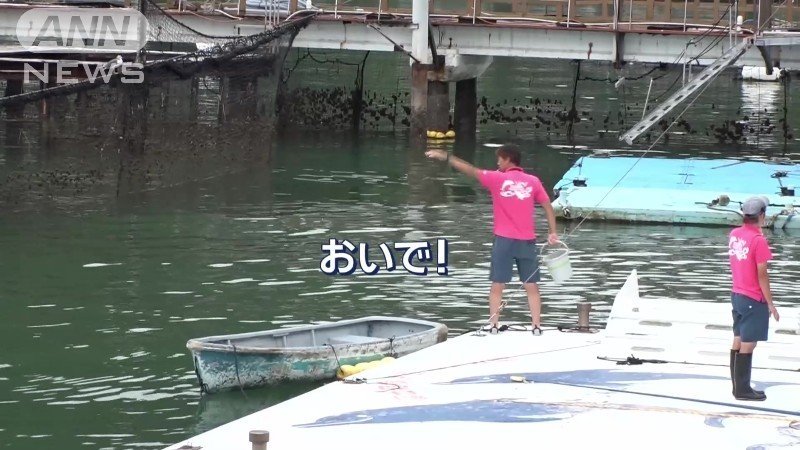 演技をやめてしまったリオくんに呼び掛け