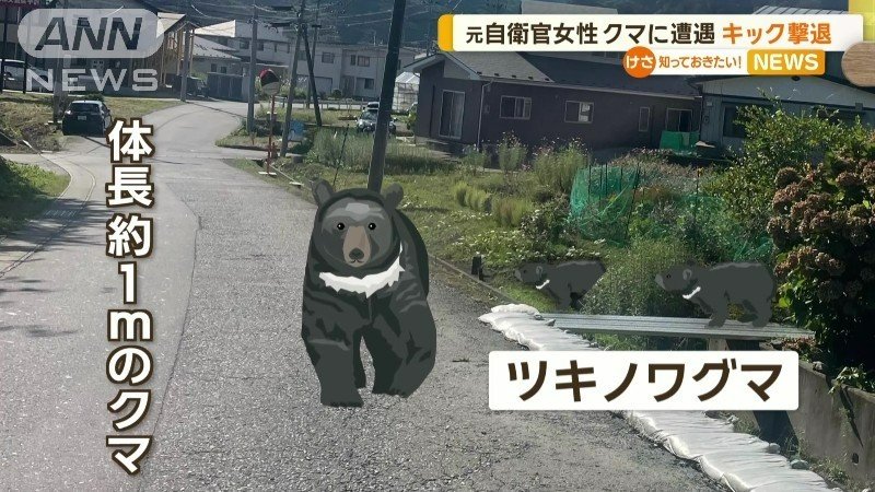 向かってきた体長約1mのツキノワグマ