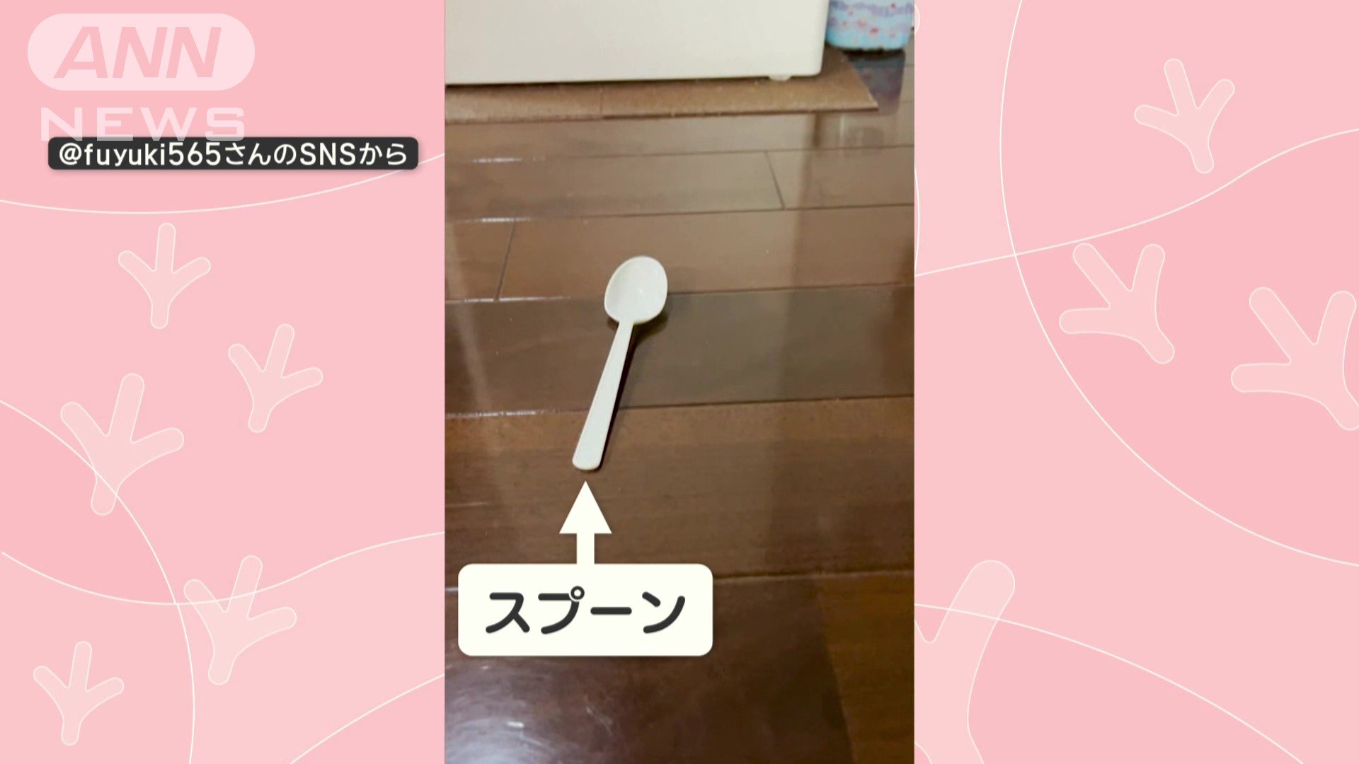 床にスプーンがあると…
