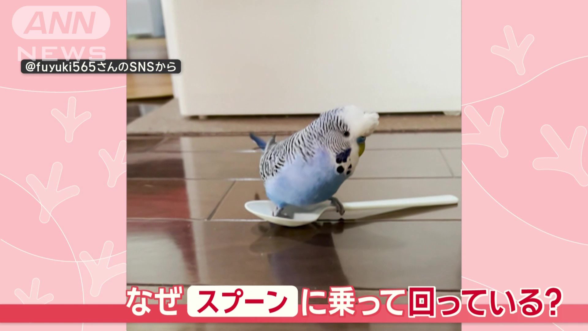 なぜスプーンに乗って回る？