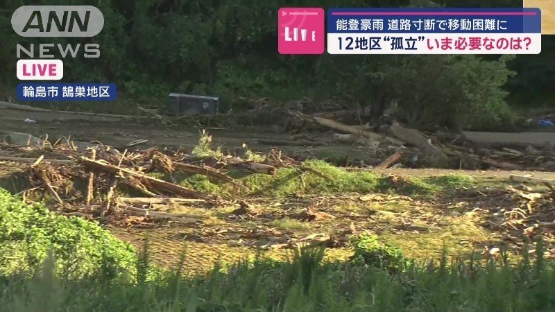 大量の流木と泥が