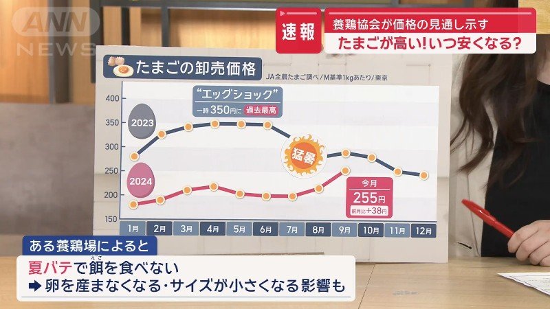 価格上昇の原因は