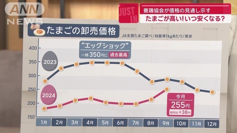たまごの卸売価格の動き