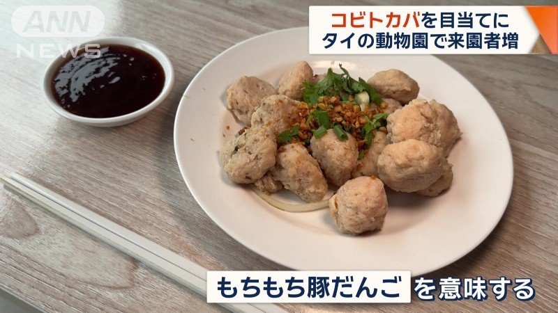 名前は「もちもち豚だんご」を意味