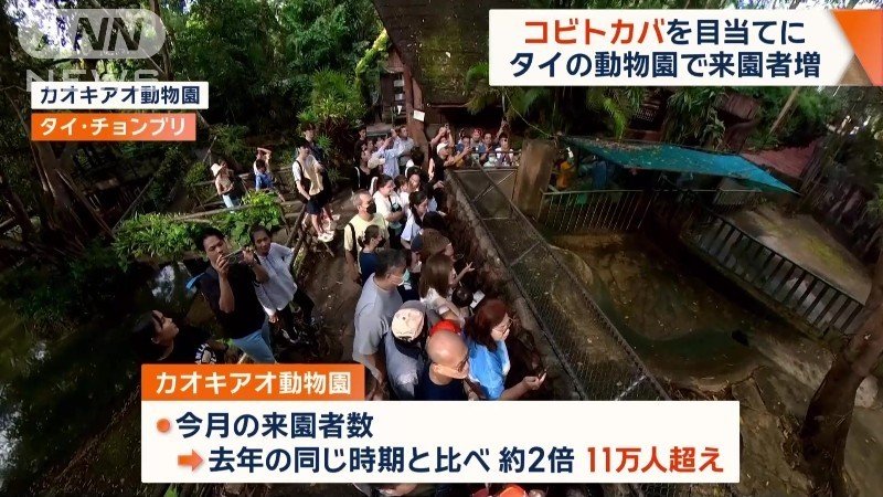 11万人超えの来園者