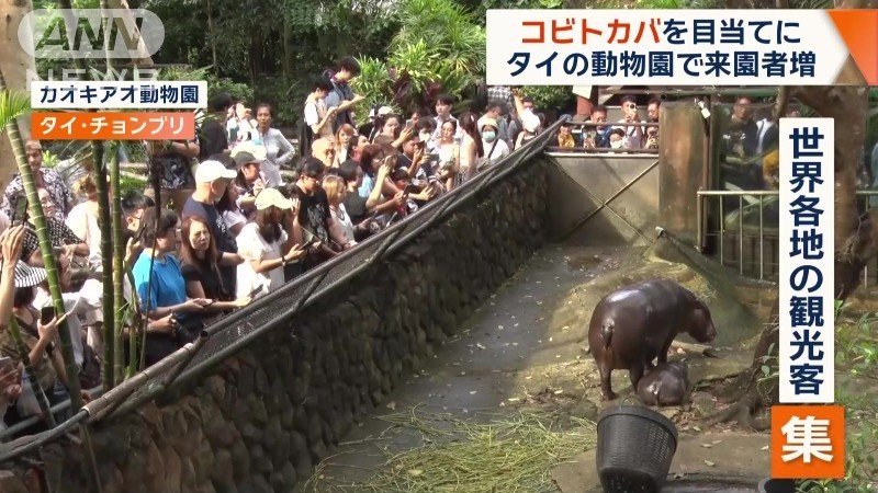 世界各地から観光客が