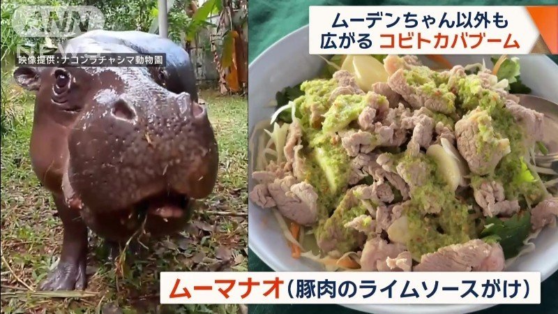 「ムーマナオ」に改名