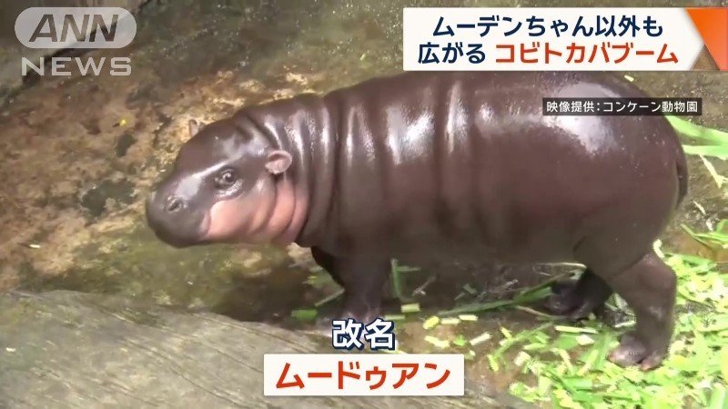 「ムードゥアン」に改名