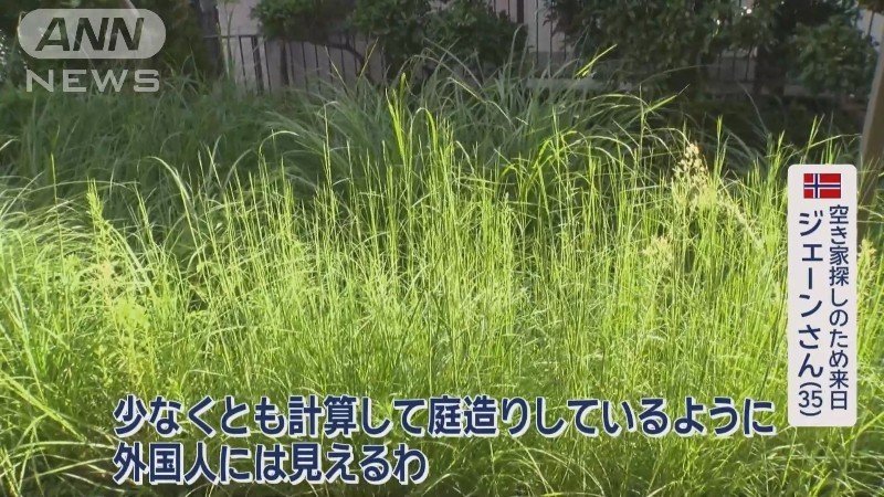 雑草が生えっぱなしの庭も…