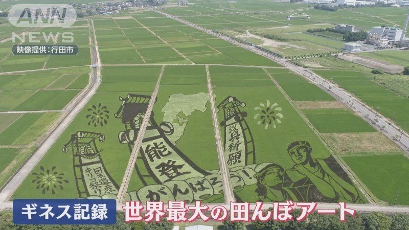 行田市の田んぼアート
