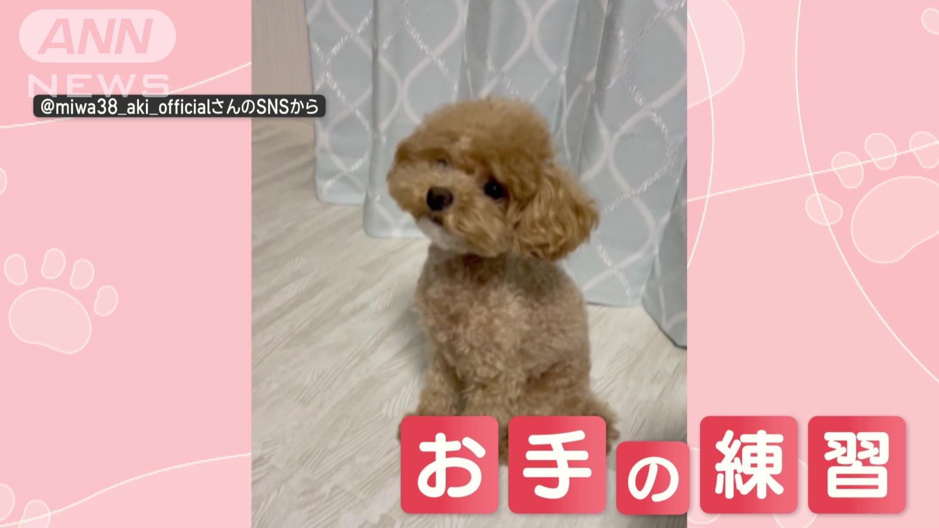 お手の練習中…