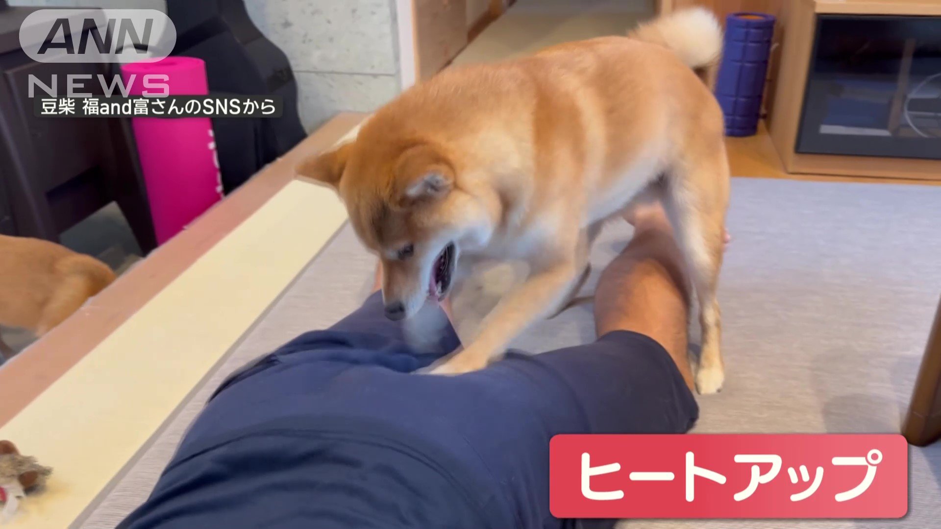 ヒートアップ！