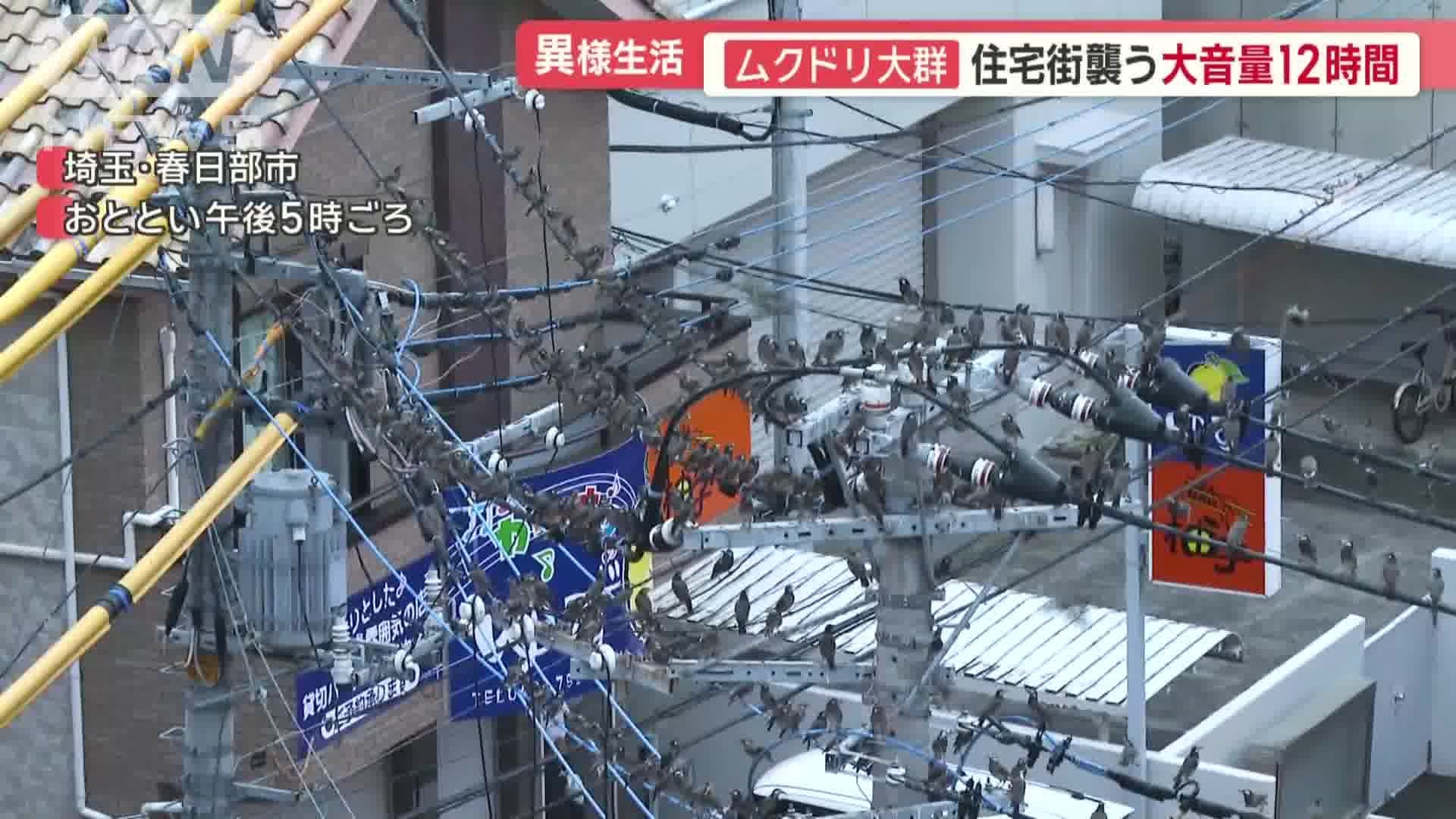 埼玉県春日部市